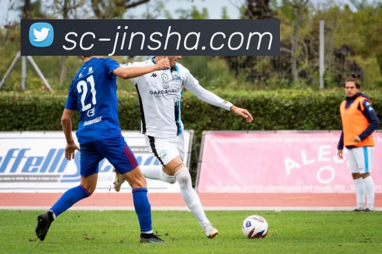 澳门金沙官网平台生态图